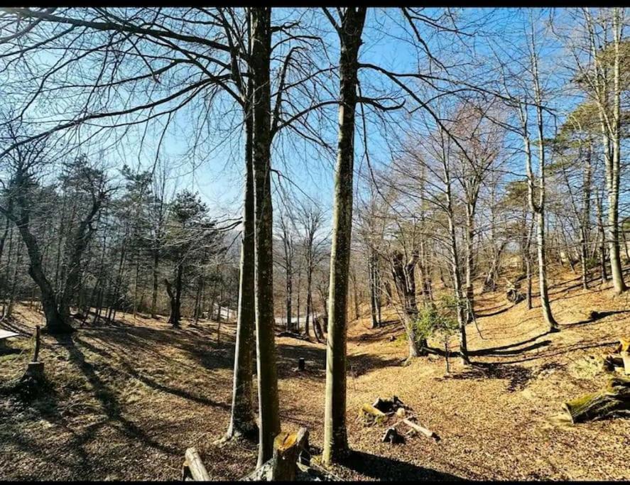 Il Villaggio Dei Puffi Bardineto Luaran gambar