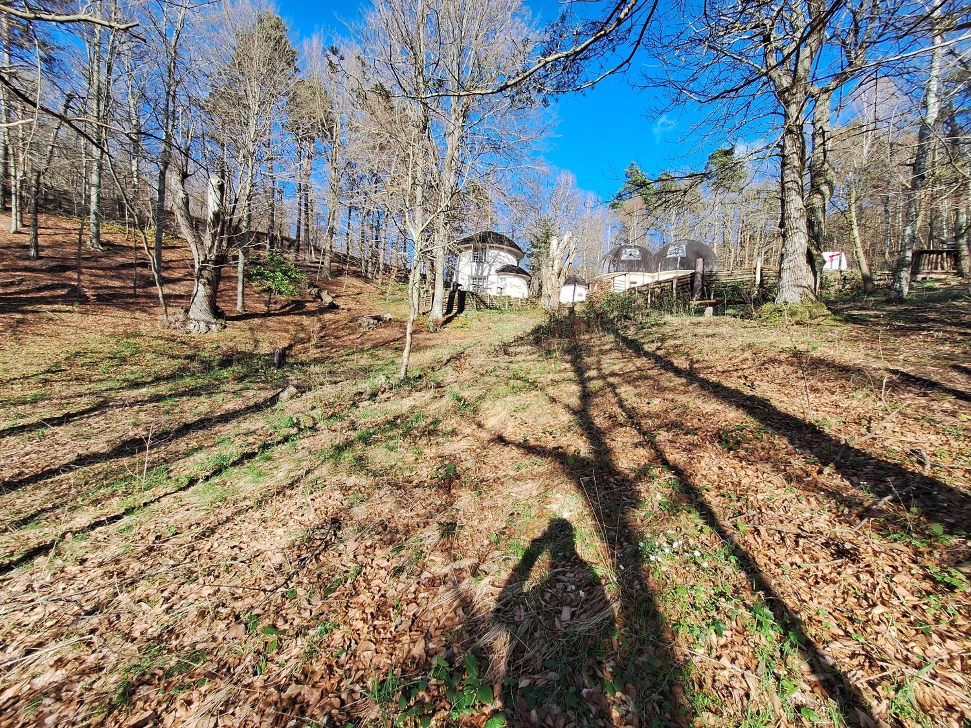 Il Villaggio Dei Puffi Bardineto Luaran gambar